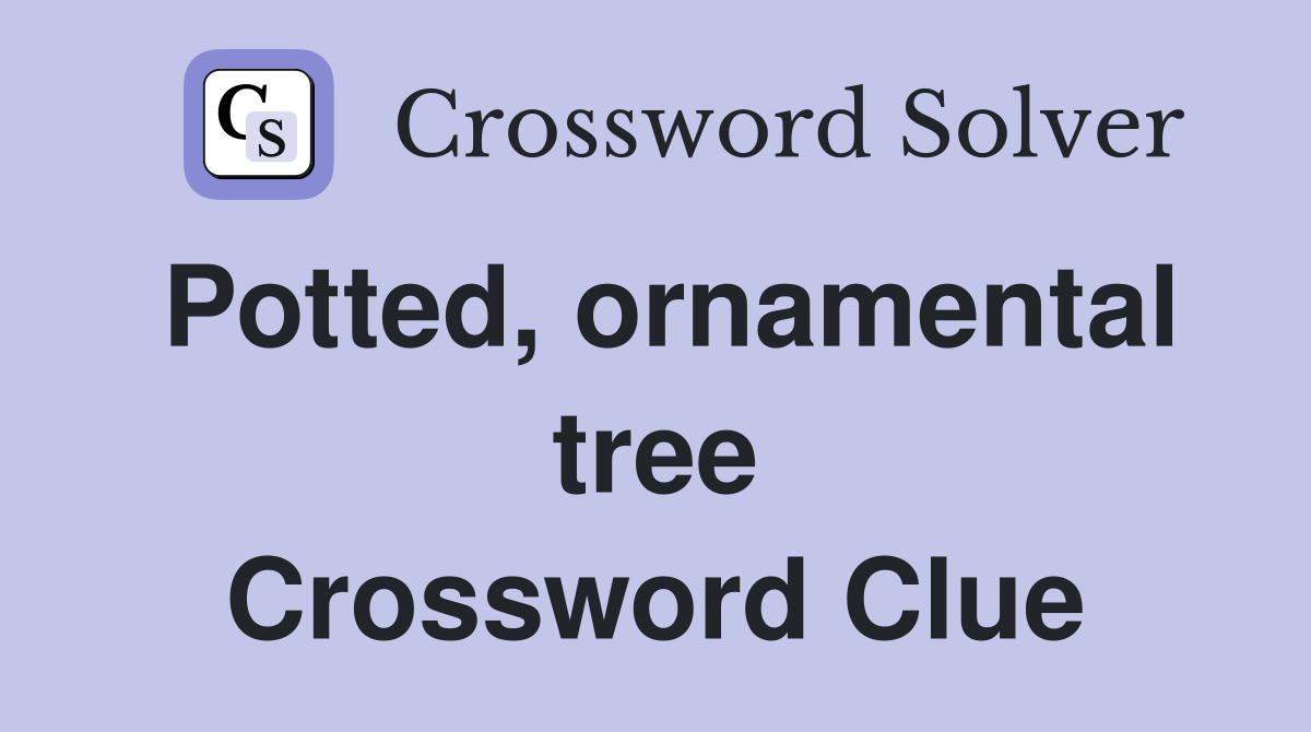 Potted, ornamental tree Crossword Clue