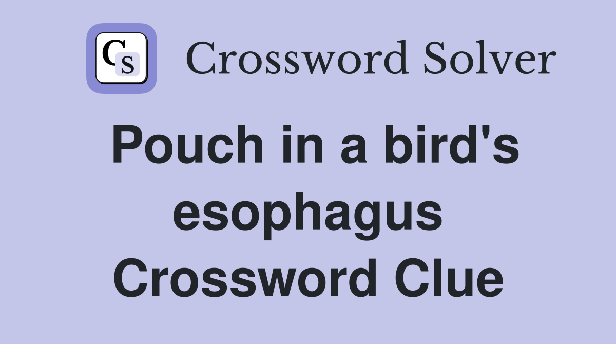 Pouch in a bird's esophagus Crossword Clue