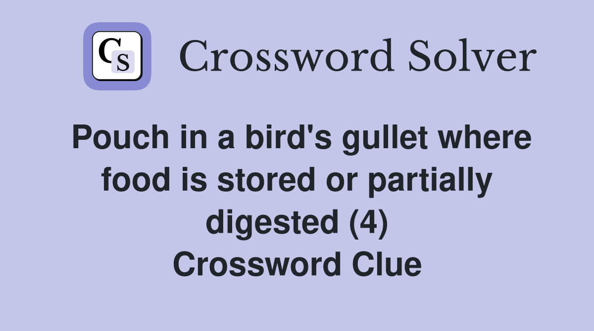 Pouch in a bird's gullet where food is stored or partially digested (4) Crossword Clue