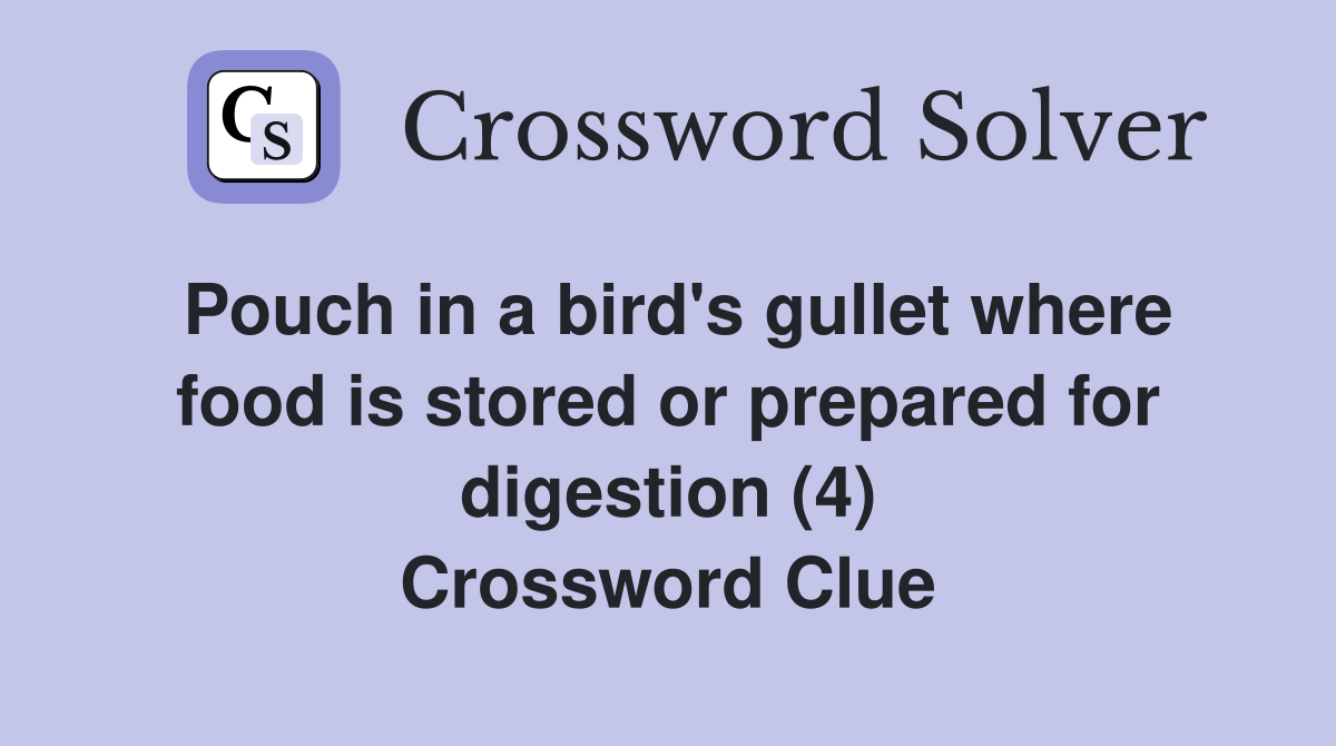 Pouch in a bird's gullet where food is stored or prepared for digestion (4) Crossword Clue