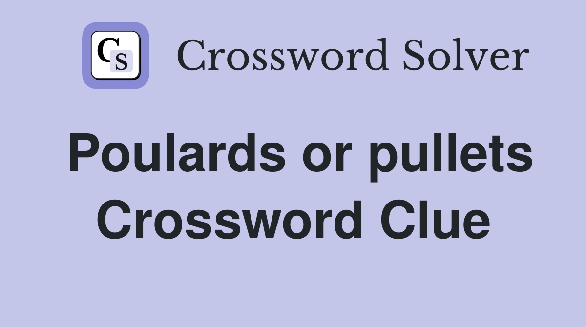 Poulards or pullets Crossword Clue