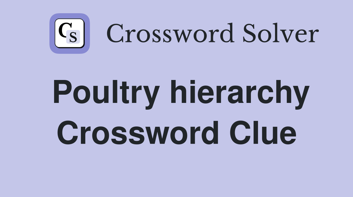 Poultry hierarchy Crossword Clue