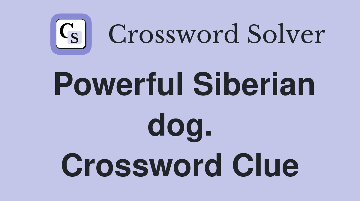 Powerful Siberian dog. Crossword Clue