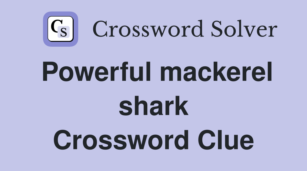 Powerful mackerel shark Crossword Clue