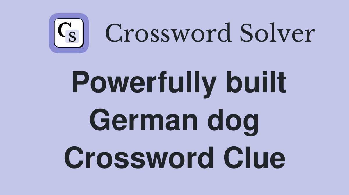 Powerfully built German dog Crossword Clue