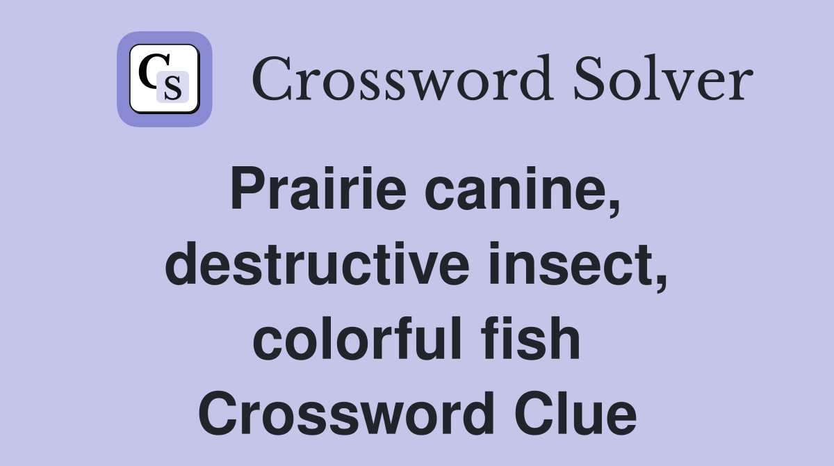 Prairie canine, destructive insect, colorful fish Crossword Clue