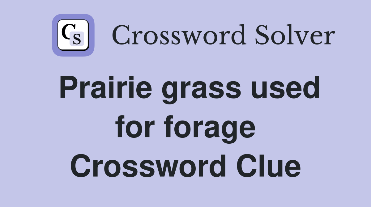 Prairie grass used for forage Crossword Clue
