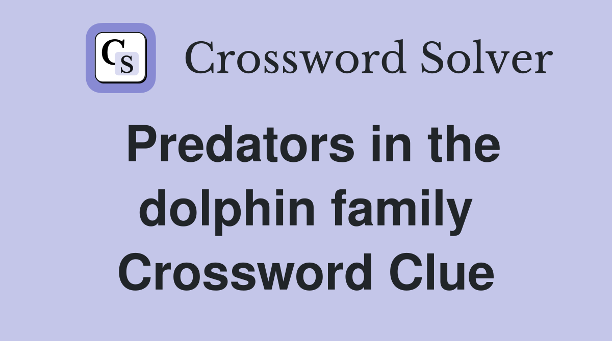 Predators in the dolphin family Crossword Clue