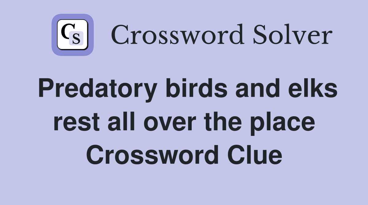Predatory birds and elks rest all over the place Crossword Clue