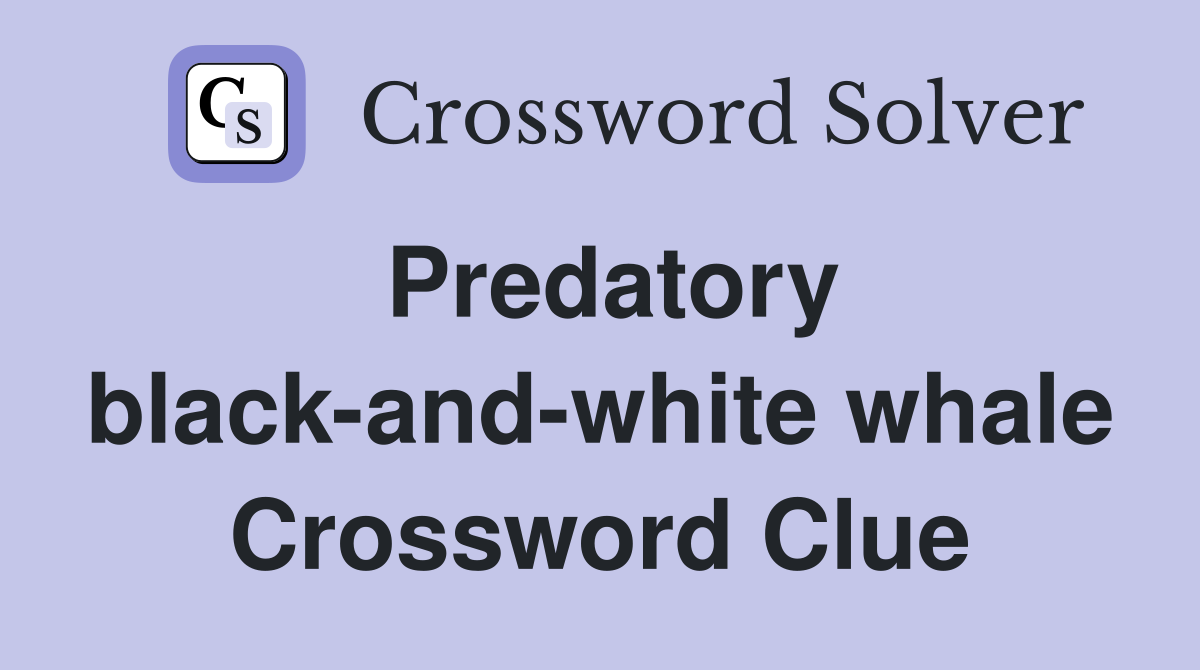 Predatory black-and-white whale Crossword Clue
