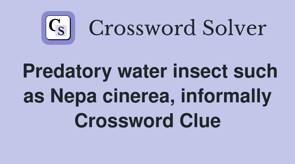 Predatory water insect such as Nepa cinerea, informally Crossword Clue