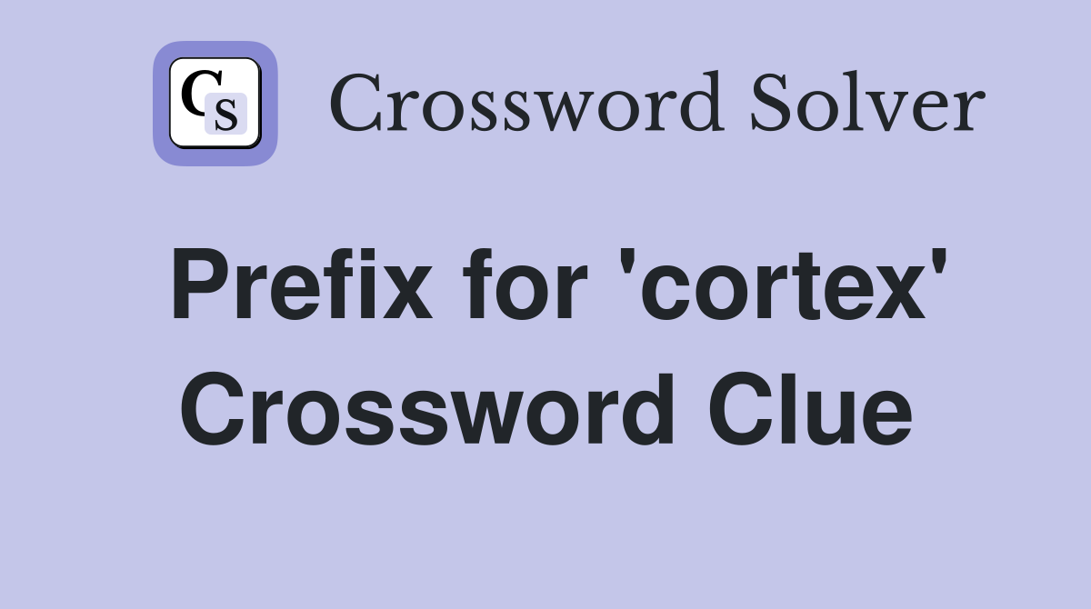 Prefix for 'cortex' Crossword Clue