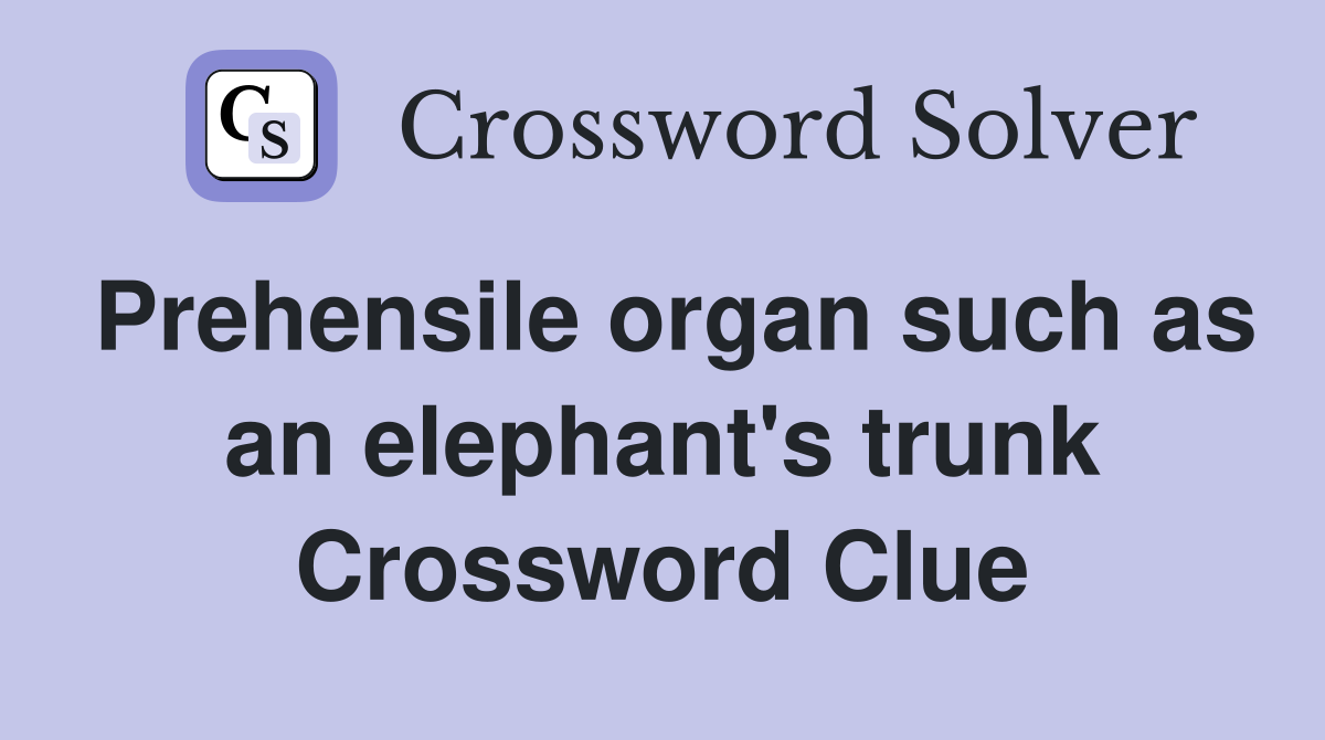 Prehensile organ such as an elephant's trunk Crossword Clue