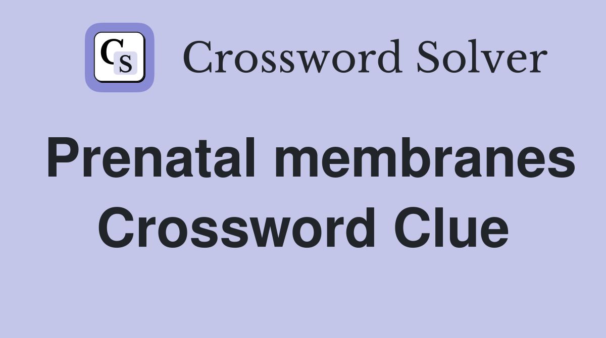 Prenatal membranes Crossword Clue