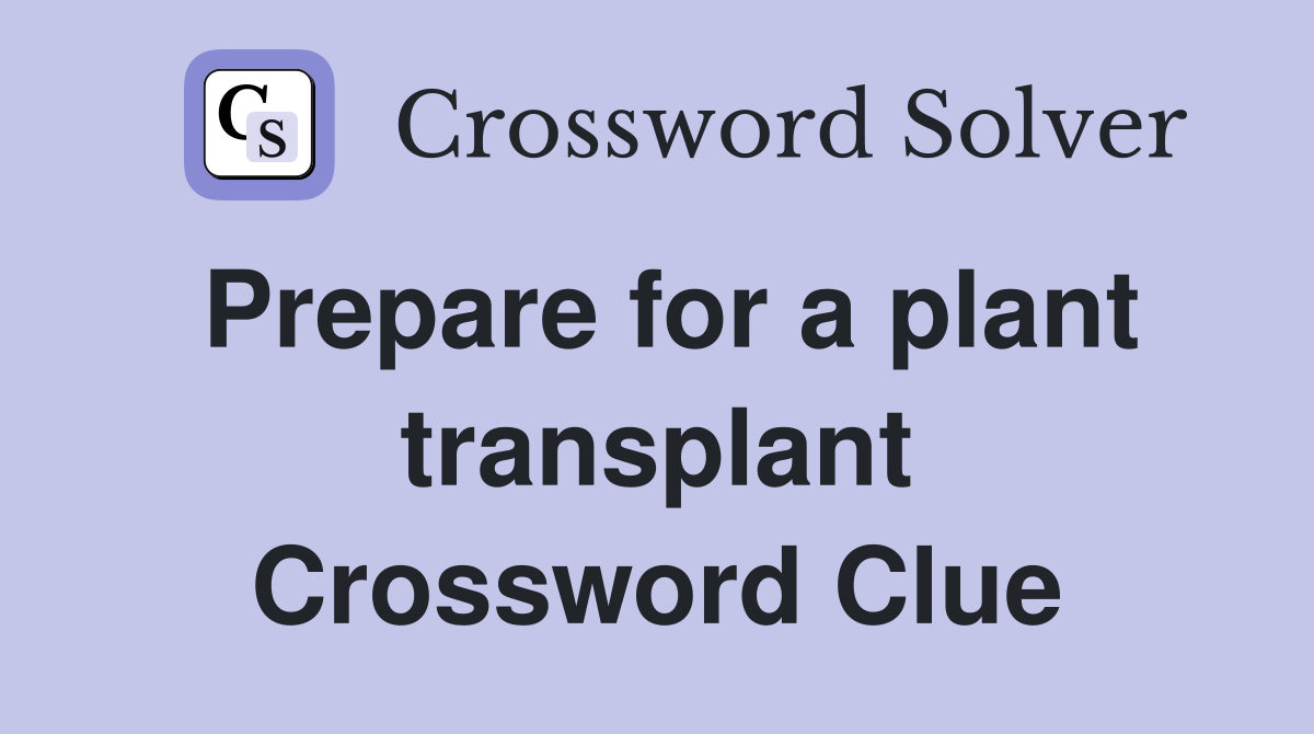 Prepare for a plant transplant Crossword Clue