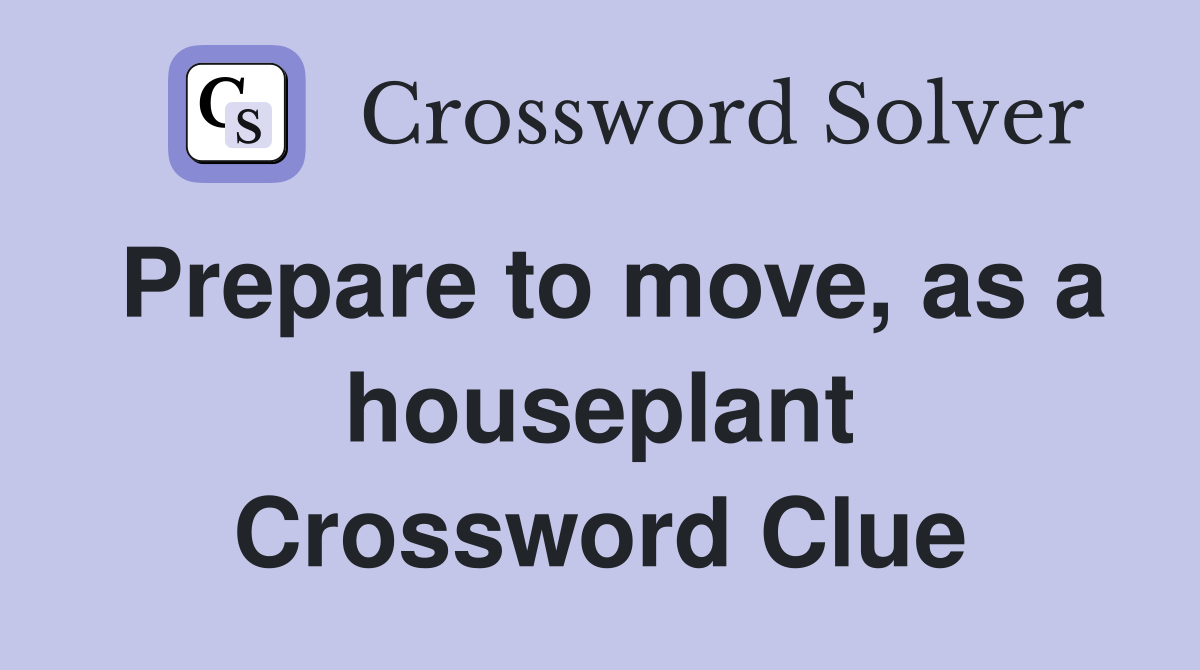 Prepare to move, as a houseplant Crossword Clue