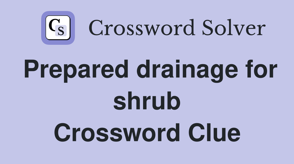 Prepared drainage for shrub Crossword Clue