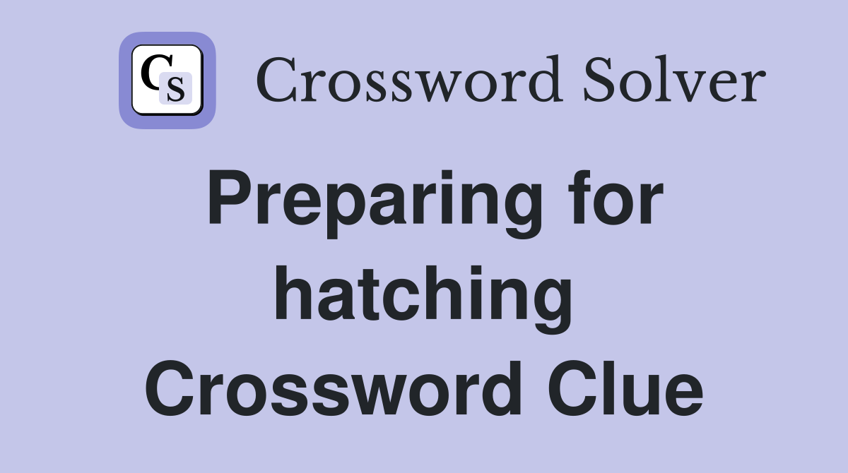 Preparing for hatching Crossword Clue