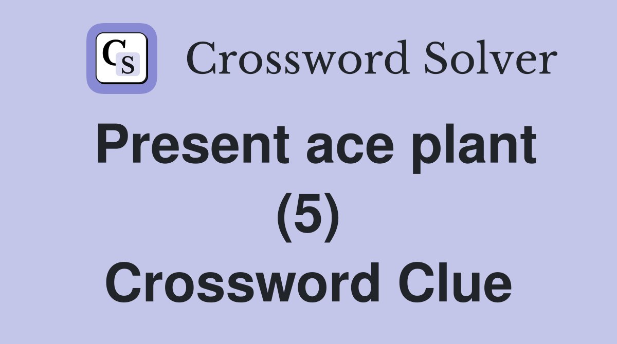 Present ace plant (5) Crossword Clue