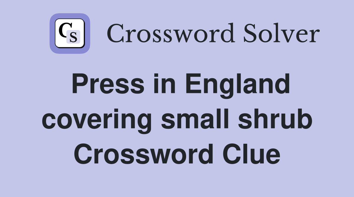 Press in England covering small shrub Crossword Clue