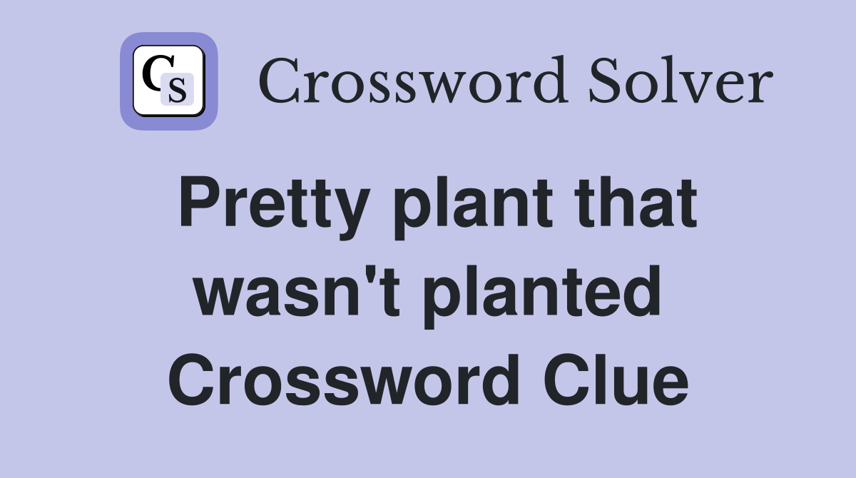 Pretty plant that wasn't planted Crossword Clue