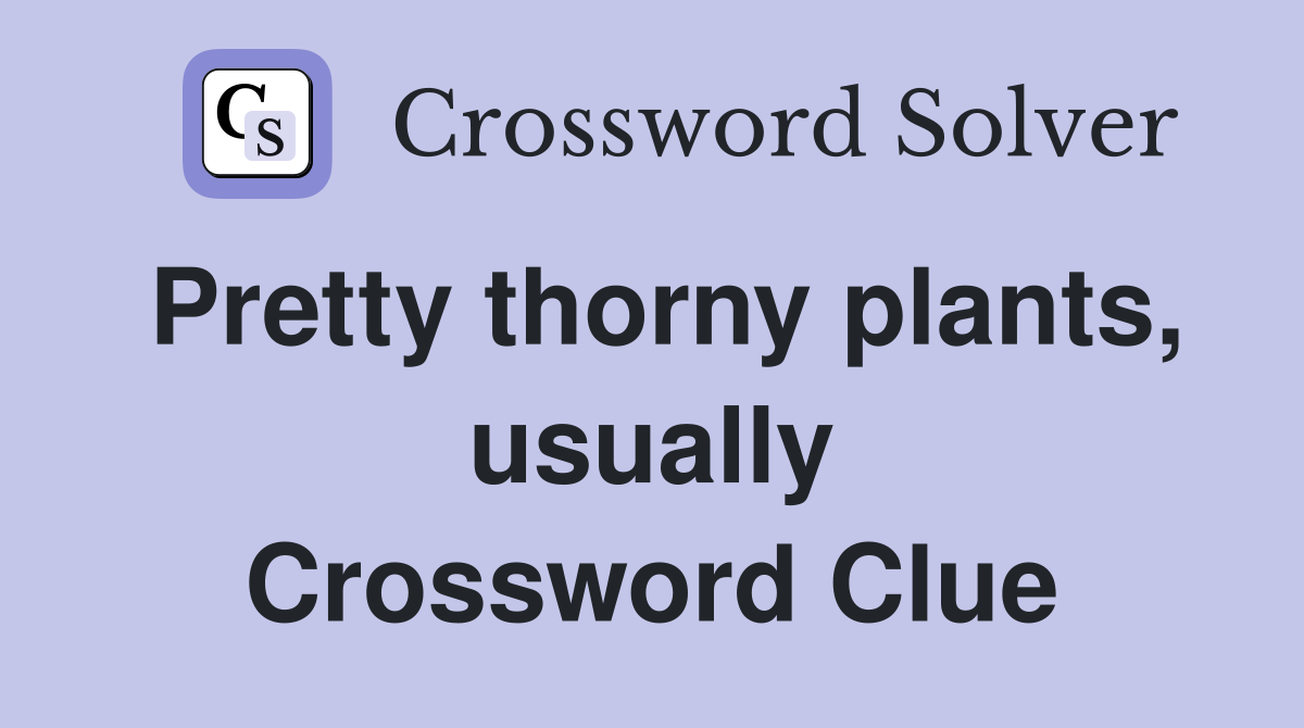 Pretty thorny plants, usually Crossword Clue