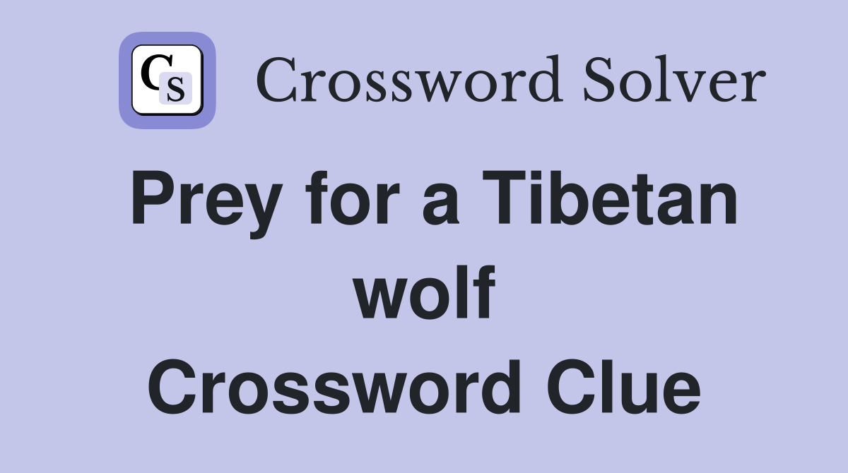 Prey for a Tibetan wolf Crossword Clue