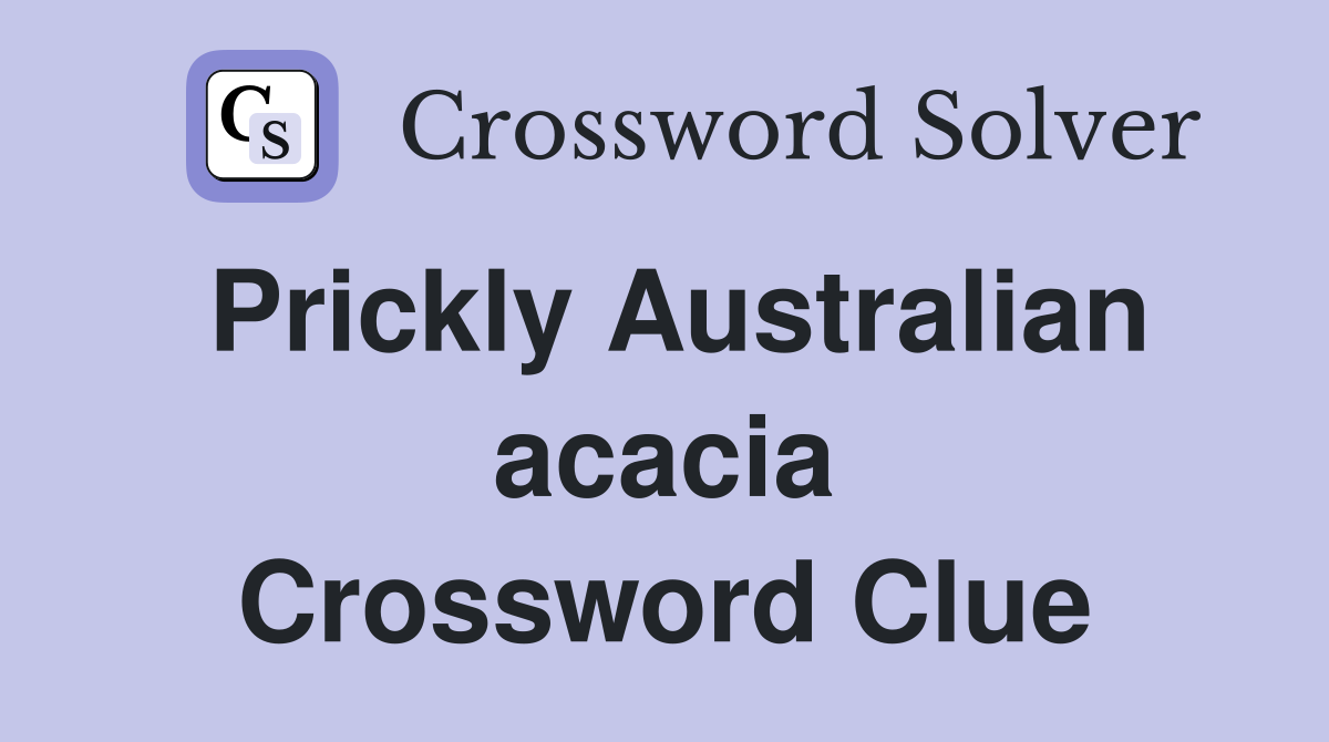 Prickly Australian acacia Crossword Clue