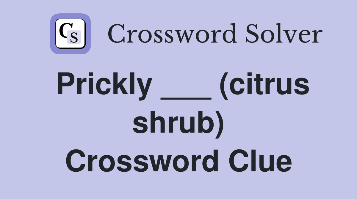 Prickly ___ (citrus shrub) Crossword Clue