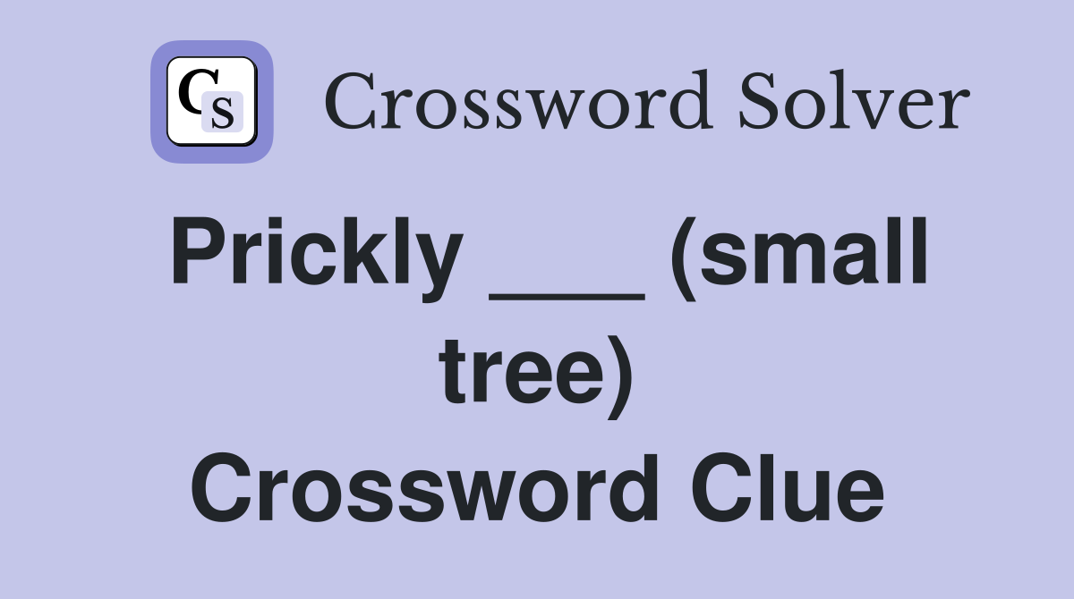 Prickly ___ (small tree) Crossword Clue