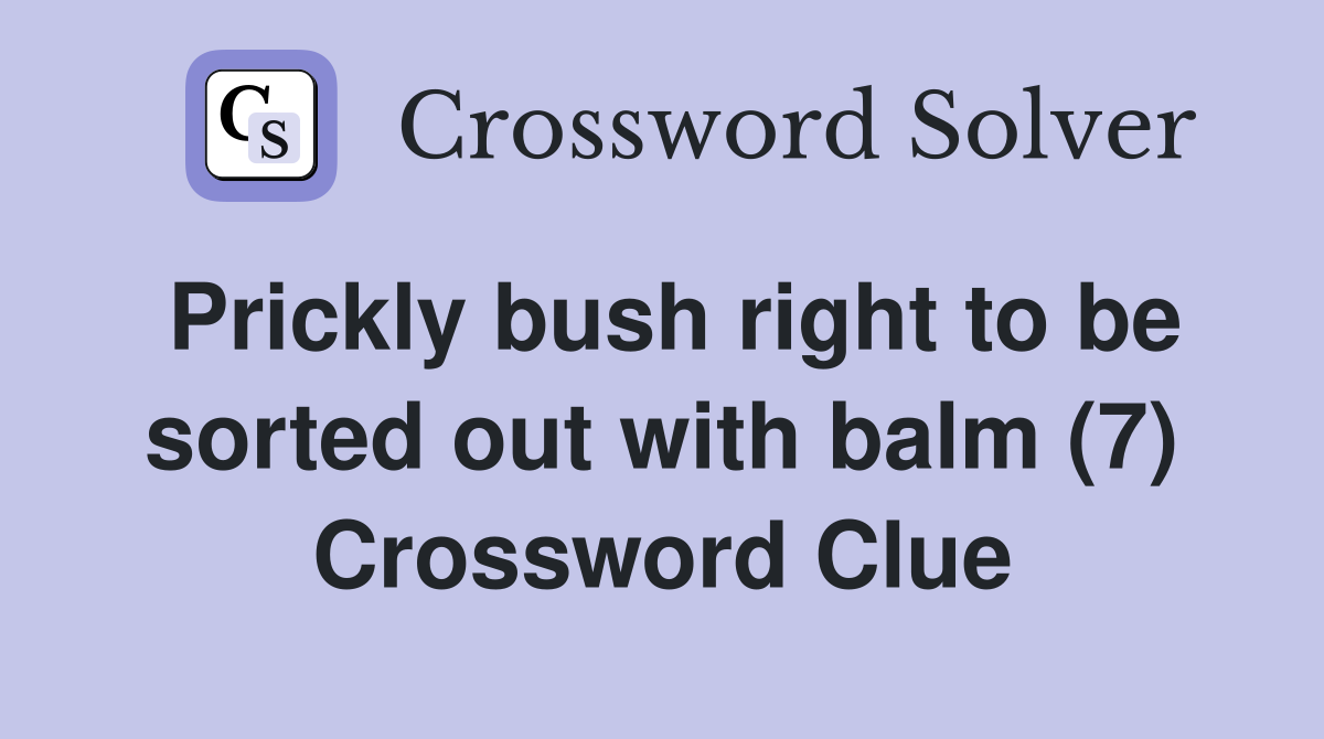 Prickly bush right to be sorted out with balm (7) Crossword Clue