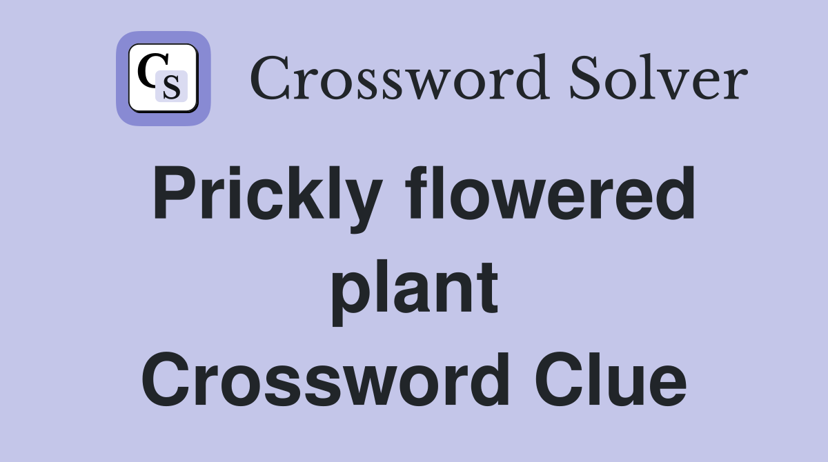 Prickly flowered plant Crossword Clue