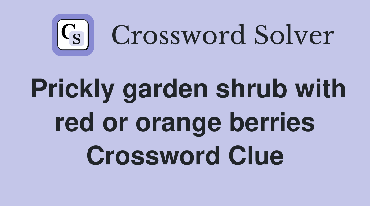 Prickly garden shrub with red or orange berries Crossword Clue