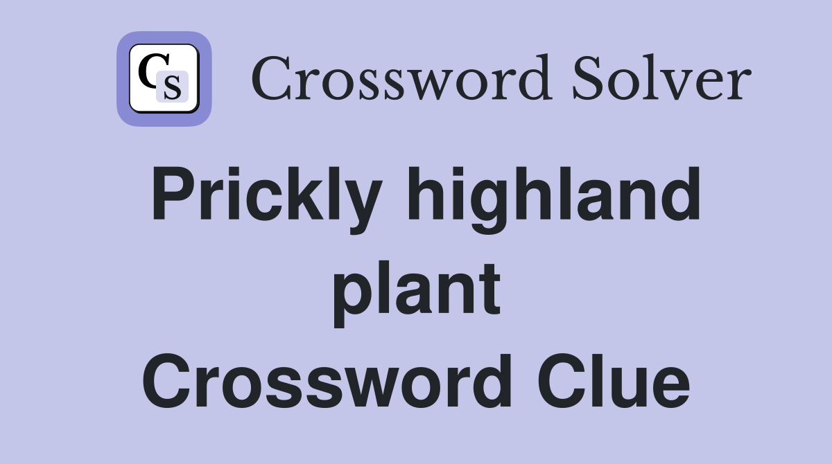 Prickly highland plant Crossword Clue