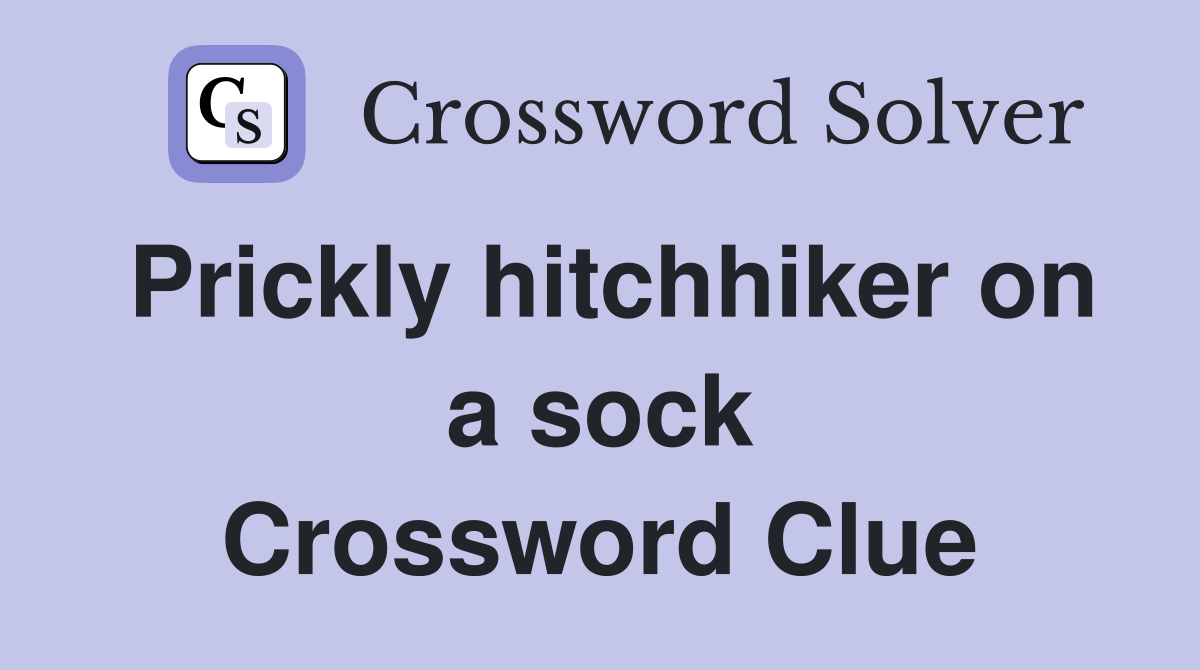 Prickly hitchhiker on a sock Crossword Clue