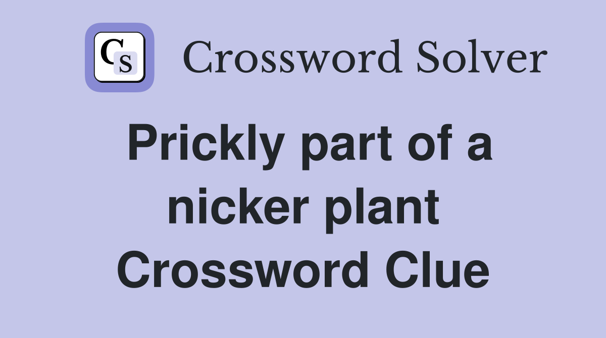 Prickly part of a nicker plant Crossword Clue