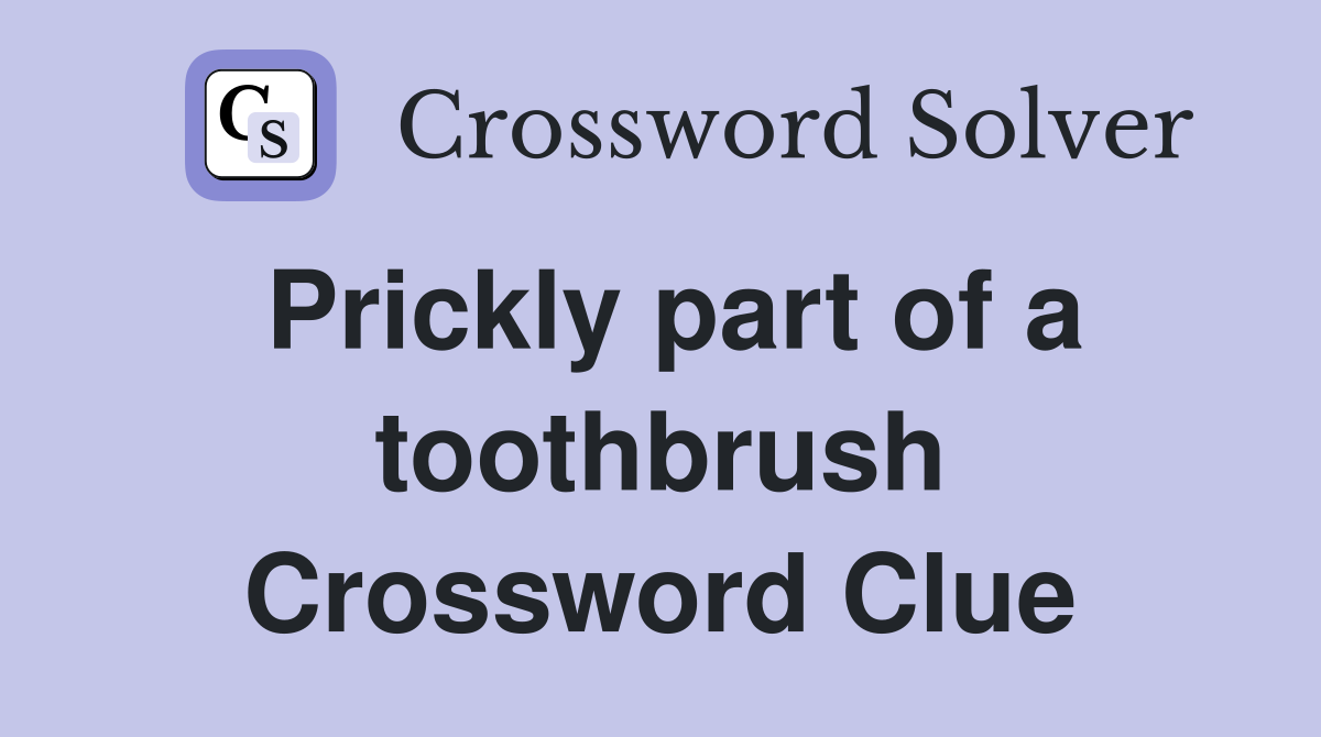 Prickly part of a toothbrush Crossword Clue