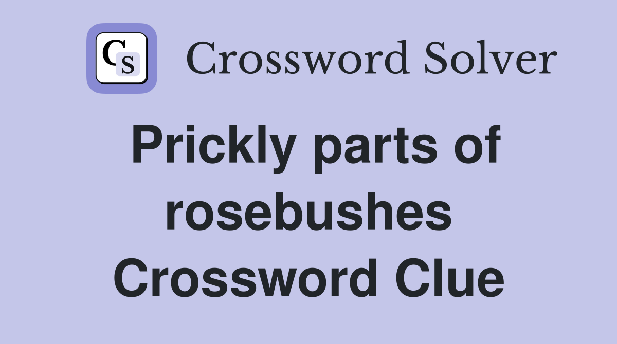Prickly parts of rosebushes Crossword Clue