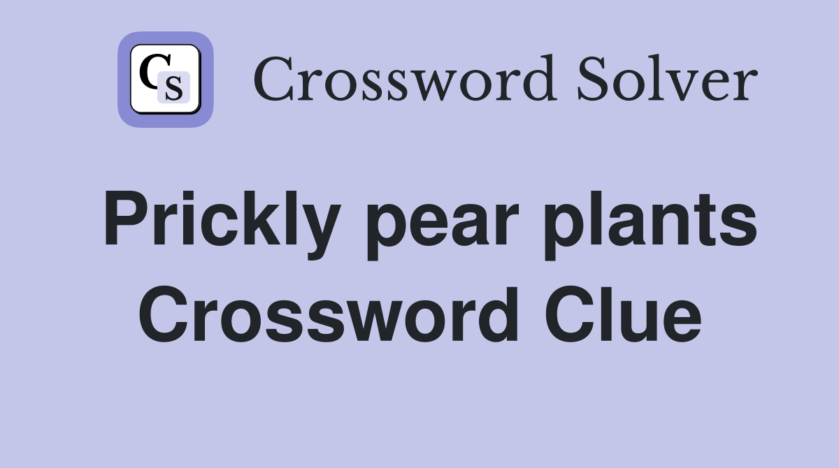 Prickly pear plants Crossword Clue