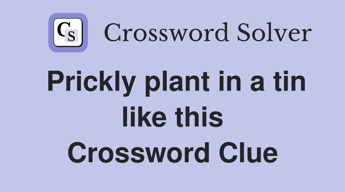 Prickly plant in a tin like this Crossword Clue