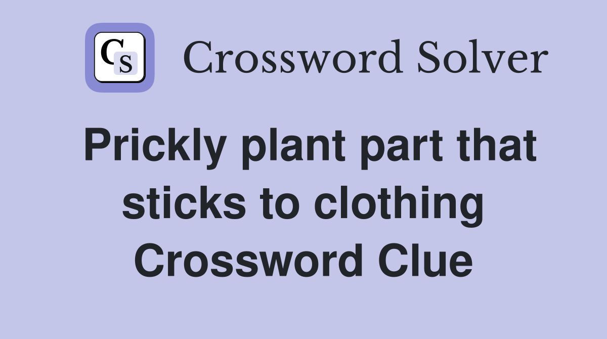 Prickly plant part that sticks to clothing Crossword Clue