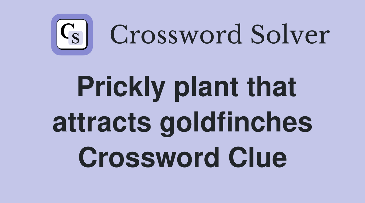 Prickly plant that attracts goldfinches Crossword Clue