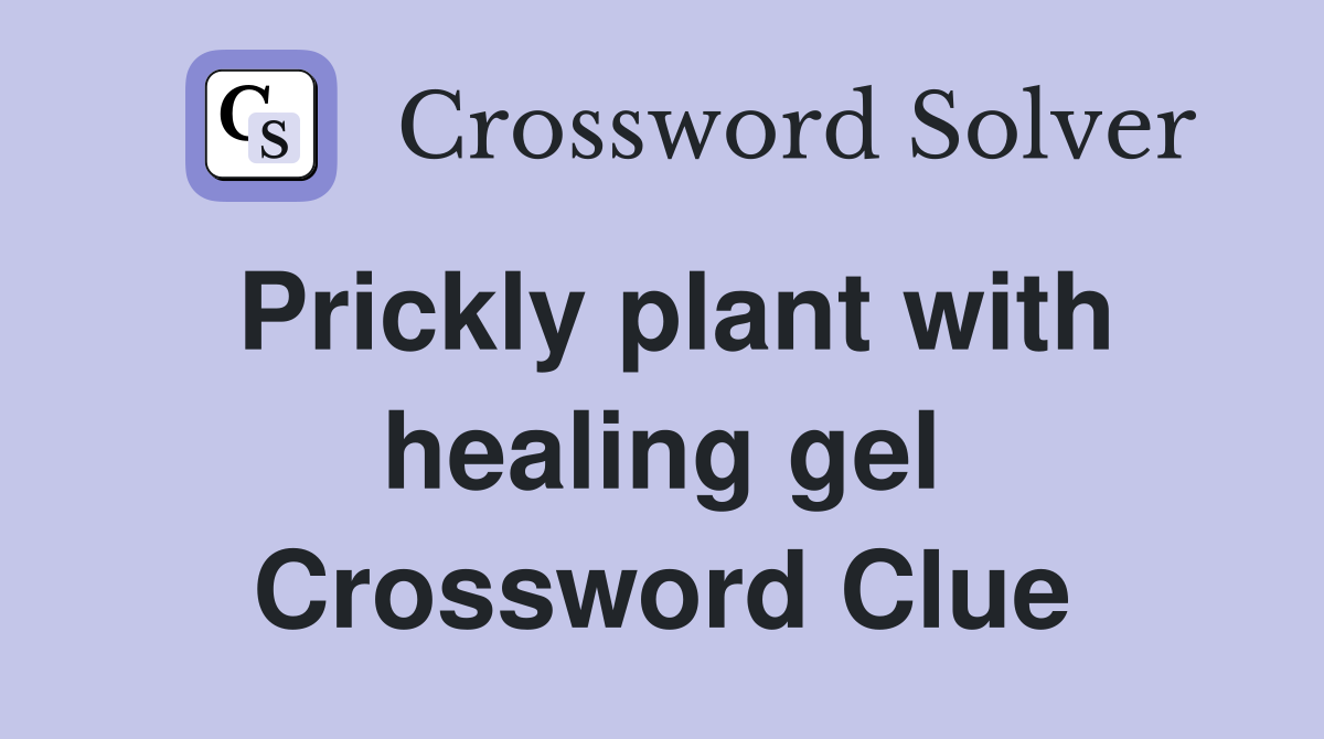 Prickly plant with healing gel Crossword Clue