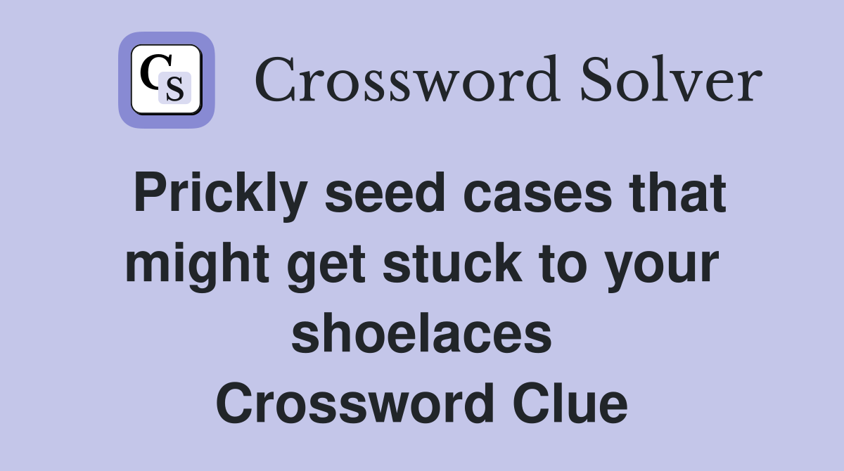 Prickly seed cases that might get stuck to your shoelaces Crossword Clue