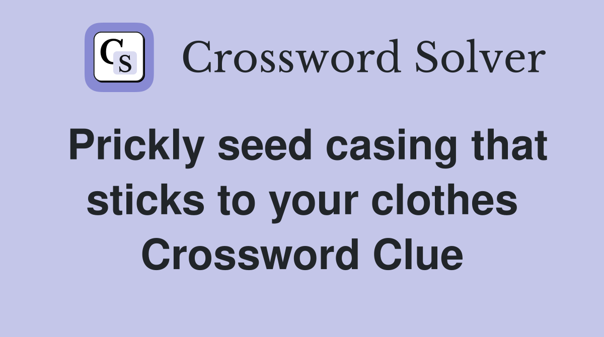 Prickly seed casing that sticks to your clothes Crossword Clue