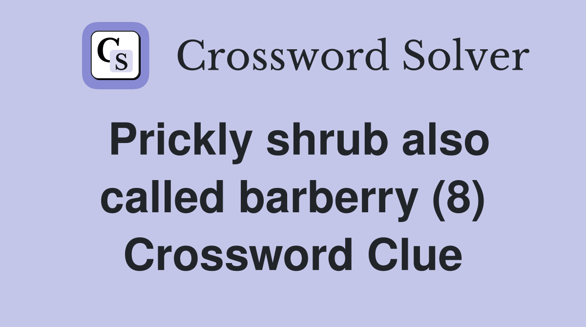 Prickly shrub also called barberry (8) Crossword Clue