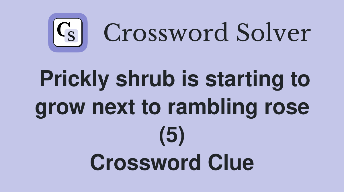 Prickly shrub is starting to grow next to rambling rose (5) Crossword Clue