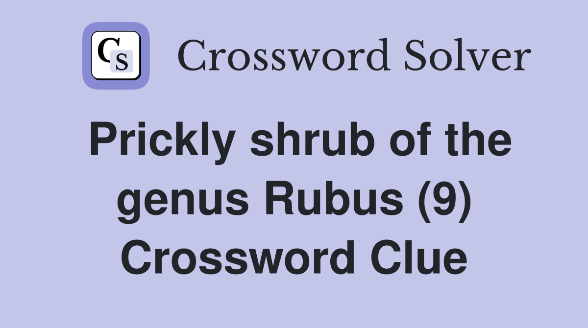 Prickly shrub of the genus Rubus (9) Crossword Clue