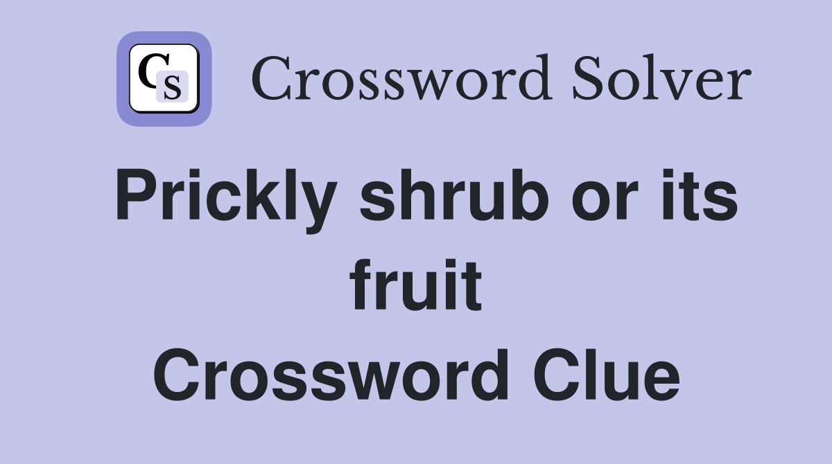 Prickly shrub or its fruit Crossword Clue