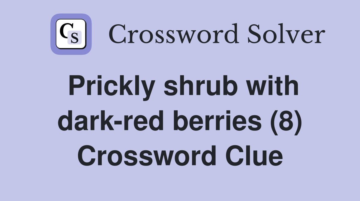 Prickly shrub with dark-red berries (8) Crossword Clue